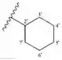 Fig. 96 - Nanoparticles for controlled release of Sorafenib and Sorafenib derivatives