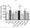 Fig. 03 - Pharmaceutical compositions comprising an integrin alpha4 antagonist for use in treating ocular inflammatory conditions