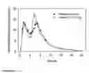 Fig. 06 - ORAL PHARMACEUTICAL DOSAGE FORMS