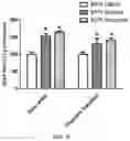 Fig. 04 - Compositions and methods for treating lysosomal storage disorders