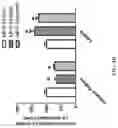 Fig. 07 - Compositions and methods for treating lysosomal storage disorders