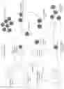 Fig. 06 - THERAPY AND PREVENTION OF PRION PROTEIN COMPLEX INFECTIONS