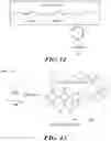 Fig. 09 - ANIMAL THERAPEUTIC AND FEED COMPOSITIONS AND METHODS OF USE