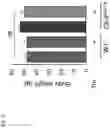 Fig. 03 - COMPOSITIONS AND METHODS FOR THE TREATMENT OF LYSOSOMAL STORAGE DISORDERS AND DISORDERS CHARACTERIZED BY LYSOSOMAL DYSFUNCTION