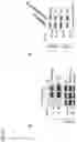 Fig. 23 - COMPOSITIONS AND METHODS FOR THE TREATMENT OF LYSOSOMAL STORAGE DISORDERS AND DISORDERS CHARACTERIZED BY LYSOSOMAL DYSFUNCTION