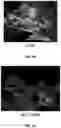 Fig. 07 - Methods for treating ischemic heart disease by targeting TRPV4