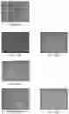 Fig. 102 - Pharmaceutical composition for improving health, cure abnormalities and degenerative disease, achieve anti-aging effect of therapy and therapeutic effect on mammals and method thereof