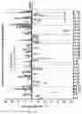 Fig. 116 - Pharmaceutical composition for improving health, cure abnormalities and degenerative disease, achieve anti-aging effect of therapy and therapeutic effect on mammals and method thereof