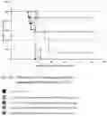 Fig. 134 - Pharmaceutical composition for improving health, cure abnormalities and degenerative disease, achieve anti-aging effect of therapy and therapeutic effect on mammals and method thereof