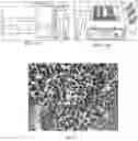 Fig. 14 - Pharmaceutical composition for improving health, cure abnormalities and degenerative disease, achieve anti-aging effect of therapy and therapeutic effect on mammals and method thereof