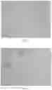 Fig. 34 - Pharmaceutical composition for improving health, cure abnormalities and degenerative disease, achieve anti-aging effect of therapy and therapeutic effect on mammals and method thereof