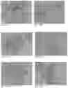 Fig. 43 - Pharmaceutical composition for improving health, cure abnormalities and degenerative disease, achieve anti-aging effect of therapy and therapeutic effect on mammals and method thereof