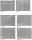 Fig. 45 - Pharmaceutical composition for improving health, cure abnormalities and degenerative disease, achieve anti-aging effect of therapy and therapeutic effect on mammals and method thereof