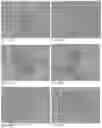 Fig. 53 - Pharmaceutical composition for improving health, cure abnormalities and degenerative disease, achieve anti-aging effect of therapy and therapeutic effect on mammals and method thereof