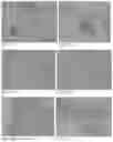 Fig. 54 - Pharmaceutical composition for improving health, cure abnormalities and degenerative disease, achieve anti-aging effect of therapy and therapeutic effect on mammals and method thereof
