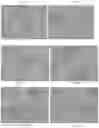Fig. 56 - Pharmaceutical composition for improving health, cure abnormalities and degenerative disease, achieve anti-aging effect of therapy and therapeutic effect on mammals and method thereof