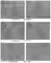 Fig. 59 - Pharmaceutical composition for improving health, cure abnormalities and degenerative disease, achieve anti-aging effect of therapy and therapeutic effect on mammals and method thereof