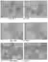 Fig. 60 - Pharmaceutical composition for improving health, cure abnormalities and degenerative disease, achieve anti-aging effect of therapy and therapeutic effect on mammals and method thereof