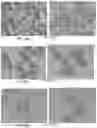 Fig. 61 - Pharmaceutical composition for improving health, cure abnormalities and degenerative disease, achieve anti-aging effect of therapy and therapeutic effect on mammals and method thereof