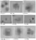 Fig. 67 - Pharmaceutical composition for improving health, cure abnormalities and degenerative disease, achieve anti-aging effect of therapy and therapeutic effect on mammals and method thereof