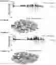 Fig. 03 - Peptides and combination of peptides for use in immunotherapy against epithelial ovarian cancer and other cancers