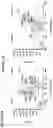Fig. 04 - Peptides and combination of peptides for use in immunotherapy against epithelial ovarian cancer and other cancers
