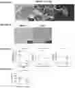 Fig. 05 - Peptides and combination of peptides for use in immunotherapy against epithelial ovarian cancer and other cancers