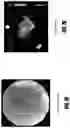 Fig. 08 - PLATELET RICH PLASMA FORMULATIONS