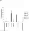 Fig. 14 - Immunocompatible chorionic membrane products