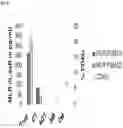 Fig. 18 - Immunocompatible chorionic membrane products