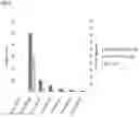 Fig. 19 - Immunocompatible chorionic membrane products