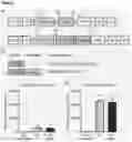 Fig. 02 - Gene therapy