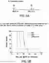 Fig. 03 - ONCOLYTIC VIRUS THERAPY