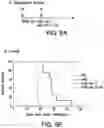Fig. 07 - ONCOLYTIC VIRUS THERAPY