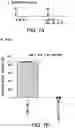 Fig. 08 - ONCOLYTIC VIRUS THERAPY