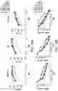 Fig. 13 - ONCOLYTIC VIRUS THERAPY