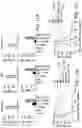 Fig. 14 - ONCOLYTIC VIRUS THERAPY