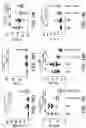 Fig. 22 - ONCOLYTIC VIRUS THERAPY