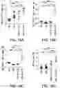 Fig. 24 - ONCOLYTIC VIRUS THERAPY