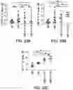Fig. 29 - ONCOLYTIC VIRUS THERAPY