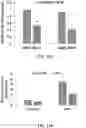 Fig. 19 - PEPTIDES AND METHODS OF TREATING DYSTROPHY-RELATED DISORDERS USING THE SAME