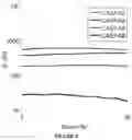 Fig. 06 - Injectable self-assembling antibacterial peptide hydrogels