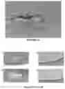 Fig. 09 - Injectable self-assembling antibacterial peptide hydrogels