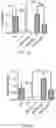 Fig. 03 - Bioengineered lactobacillus probiotics and the uses thereof