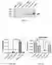 Fig. 04 - Bioengineered lactobacillus probiotics and the uses thereof