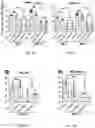 Fig. 12 - Bioengineered lactobacillus probiotics and the uses thereof