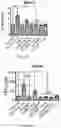 Fig. 16 - Bioengineered lactobacillus probiotics and the uses thereof