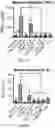 Fig. 22 - Bioengineered lactobacillus probiotics and the uses thereof