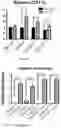 Fig. 24 - Bioengineered lactobacillus probiotics and the uses thereof