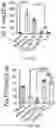Fig. 27 - Bioengineered lactobacillus probiotics and the uses thereof